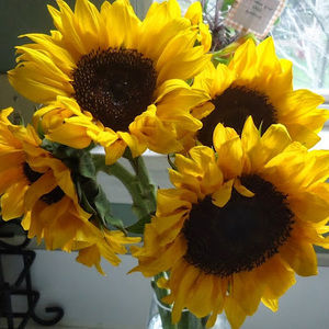 Meet your Posher, Cathy